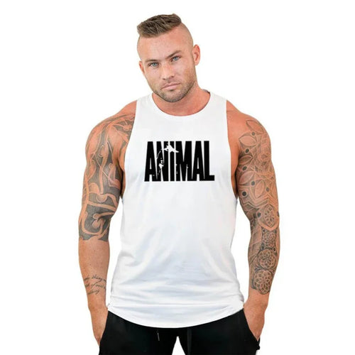 Animal