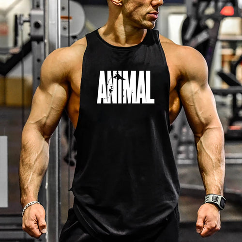Animal