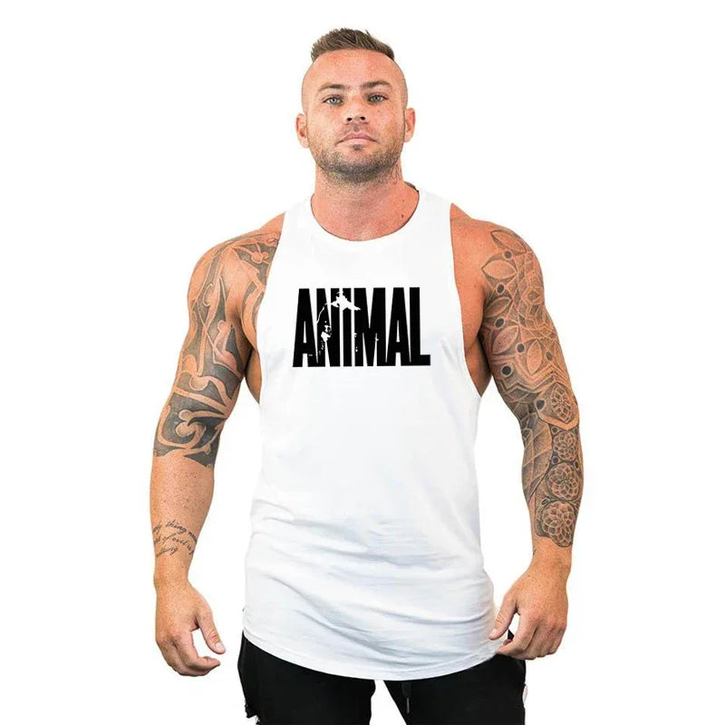 Animal
