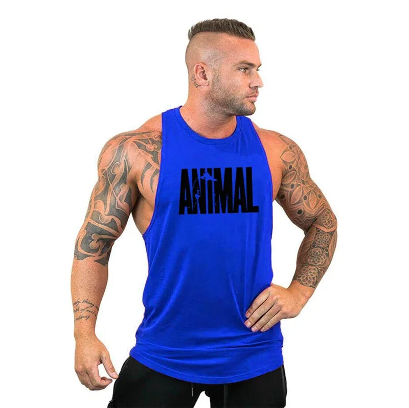 Animal