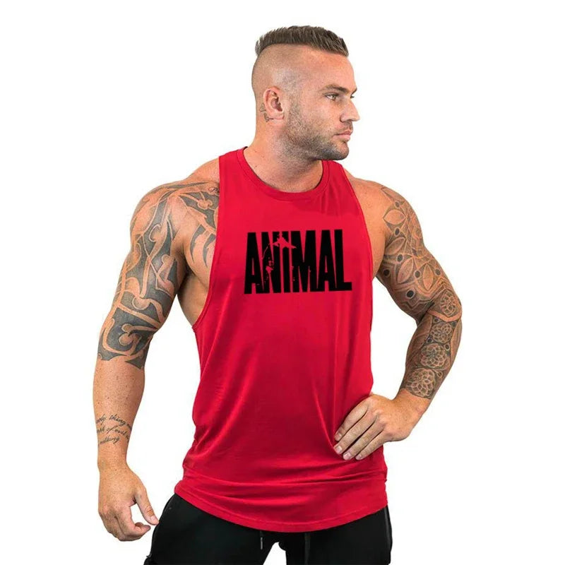 Animal