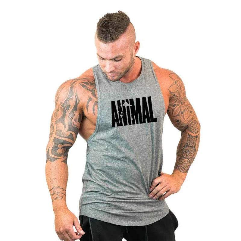 Animal